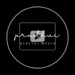 Prudhvi Digitals Logo